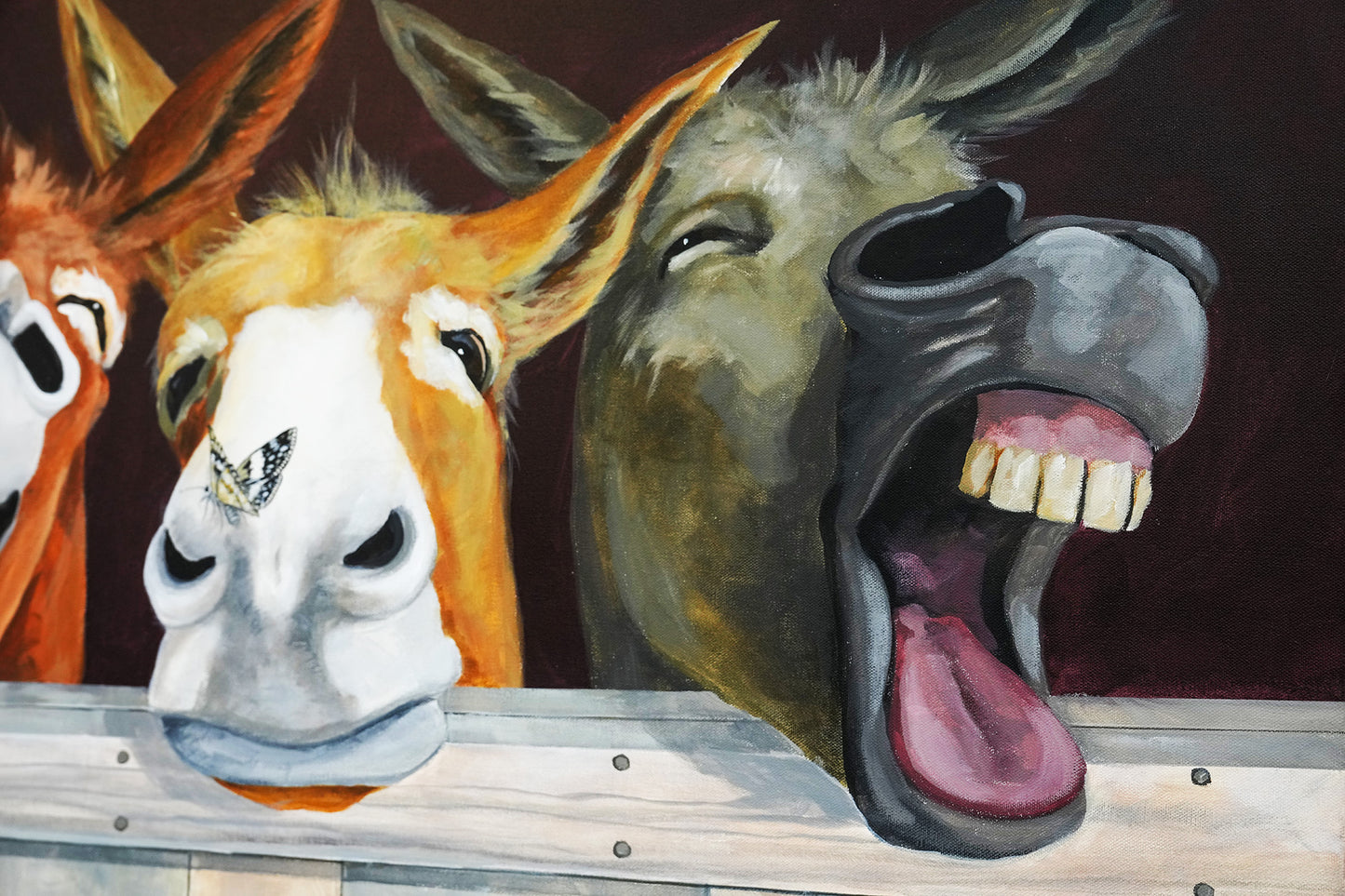 3 Laughing Donkeys